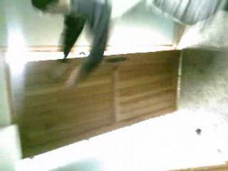 Moi jakass of cercie beach