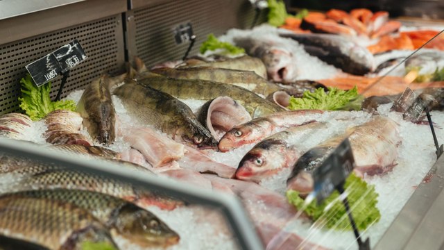 Autoridades decomisan 200 kilos de pescado en Bogotá durante operativos de Semana Santa