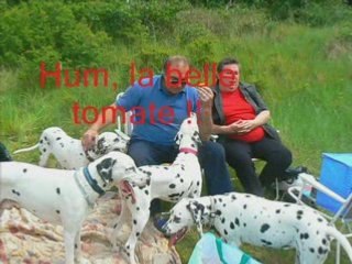 Rencontre des nordistes