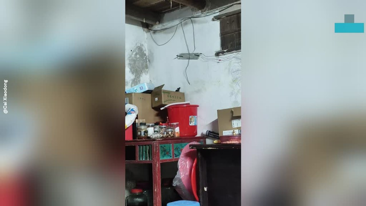 Homeowner Outsmarts Mouse With Clever Trap