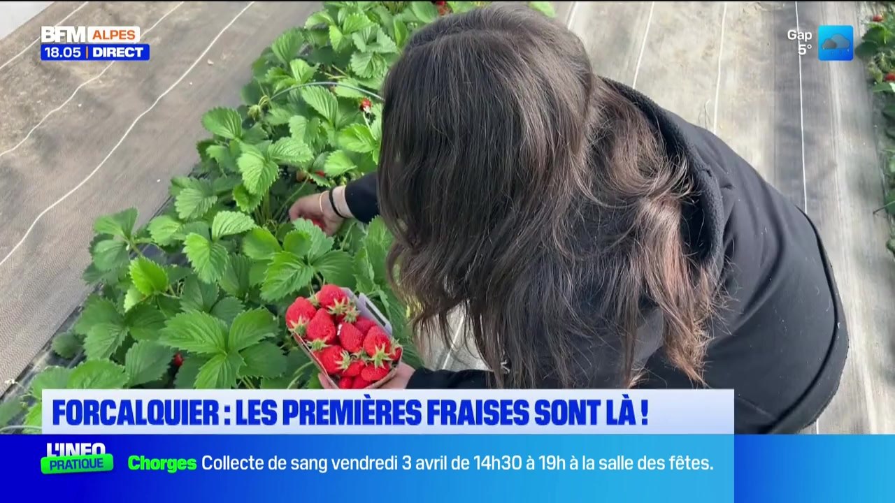 Le journal de 18h du mardi 31 mars 2026