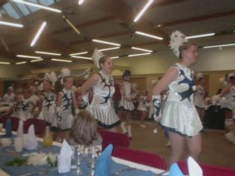 FLEURS DE LYS DE DIVION