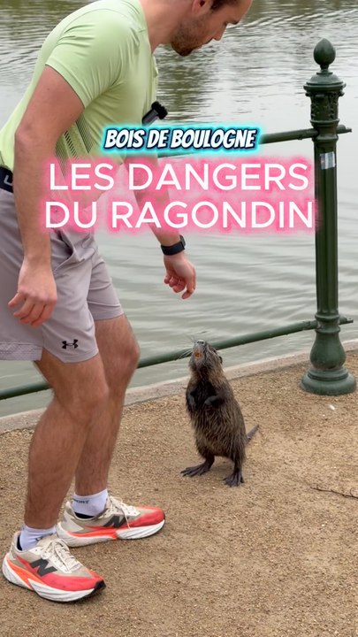 BOIS DE BOULOGNE : LES DANGERS DU RAGONDIN !