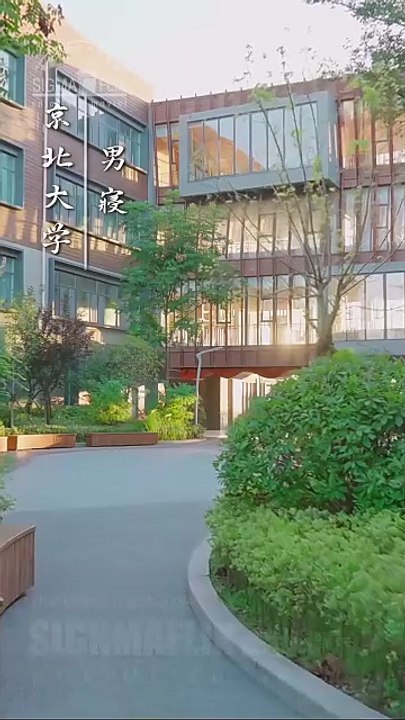 The Bond That Stole My Heart Full Chinese Drama