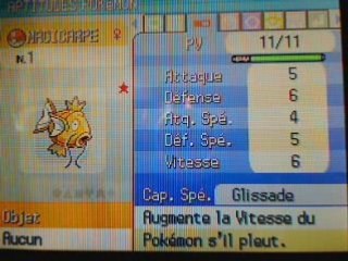 Magicarpe shiny, oeufs et bol pas possible XD