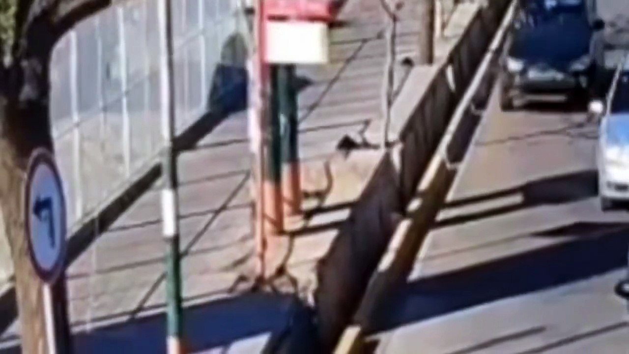 videos rus