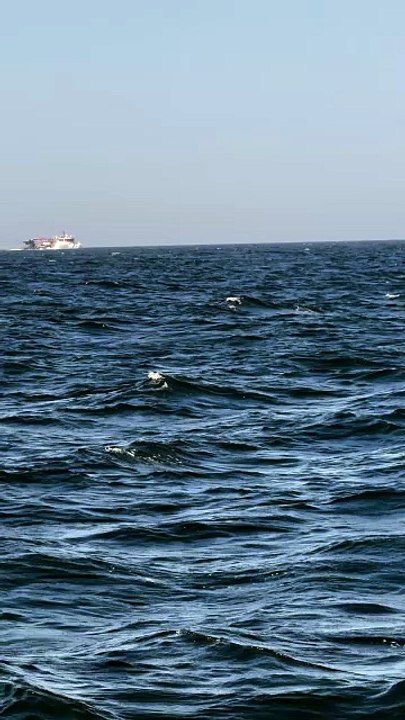 🌻Nature , Ocean and Fishing #fishinglife#ocean