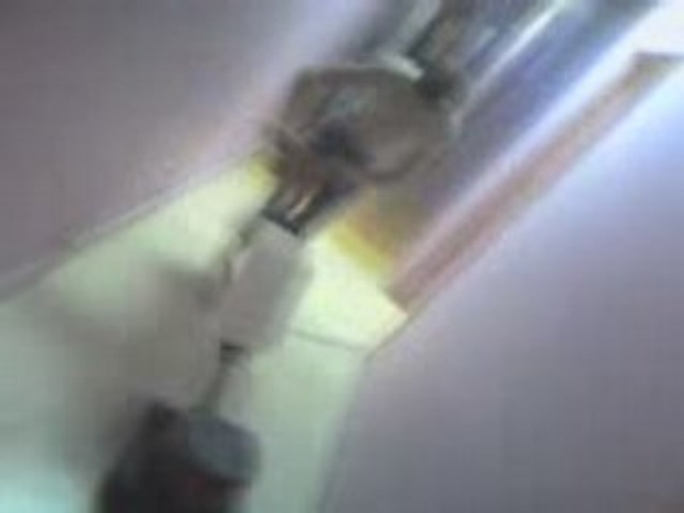 Niko sur une Sireze!