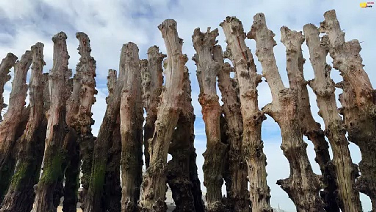 Saint-Malo   | La Plage du Sillon Hors-Saison | Saint-Malo Bretagne Télé
