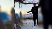 İnsanlığın bitti nokta! Köpeğini ağaca asarak öldürdü