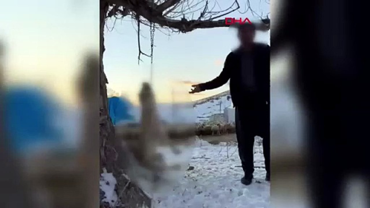 İnsanlığın bitti nokta! Köpeğini ağaca asarak öldürdü