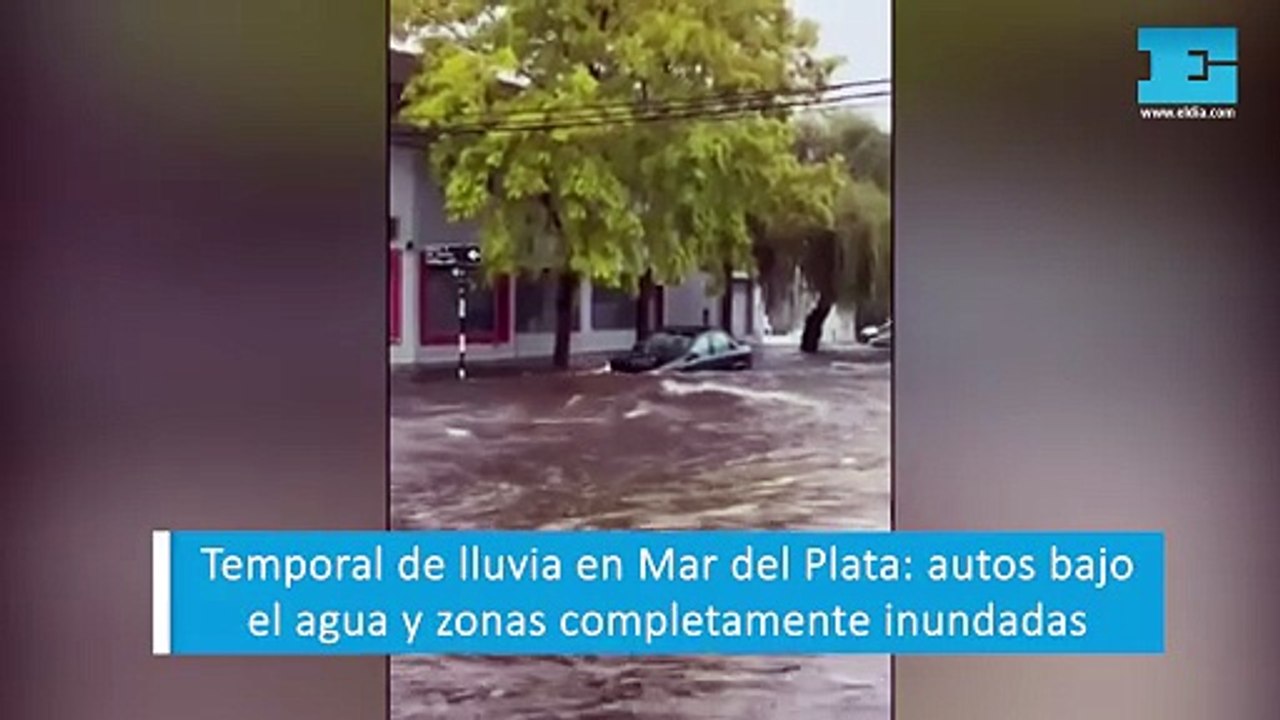 Temporal de lluvia en Mar del Plata: autos bajo el agua y zonas completamente inundadas