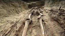 Polish Archaeologists Unearth Remains Of Nuns Executed By Soviets