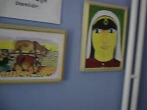 Anadolu Sevgi Yumağı( Kesik çayır)