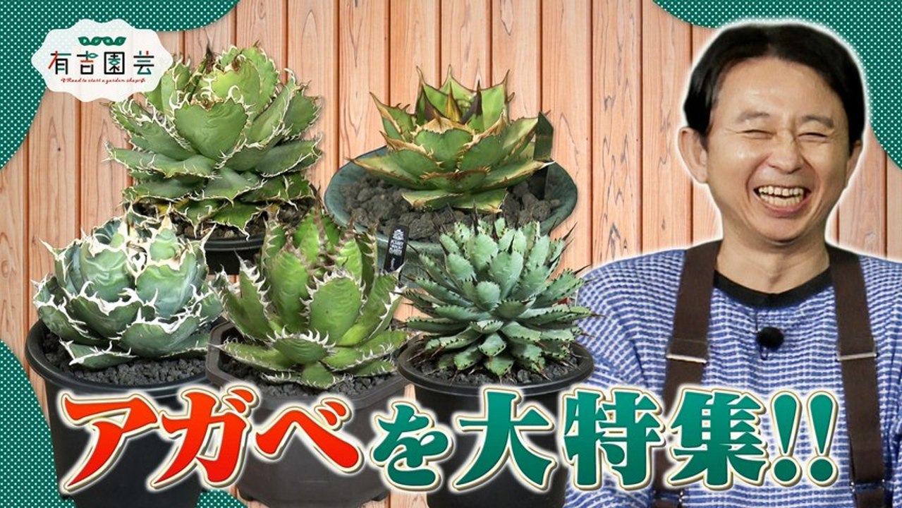 夢が咲く 有吉園芸～Road to start a garden shop～ 坪倉プレゼンツ！...