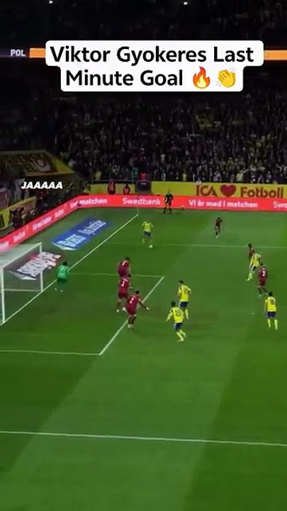 Sweden Vs Poland Highlights And Goals