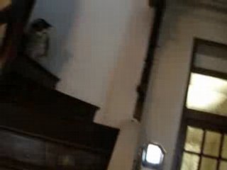 Touffu choppe mon picooz