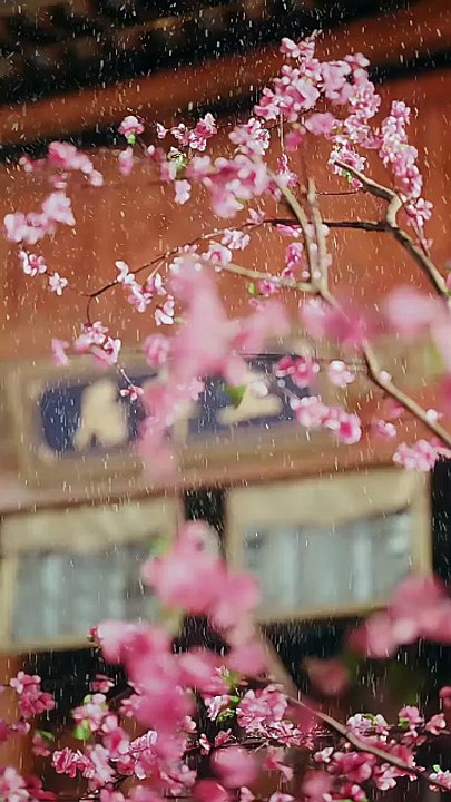 Watch She walked out of his world and into her rise