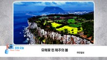 [포토오늘] 유채꽃 핀 제주의 봄 / YTN