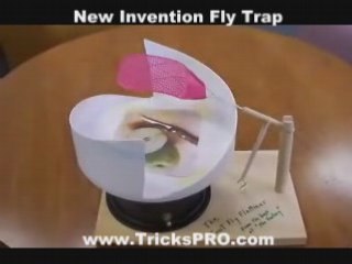 How To Make a Fly Trap it works