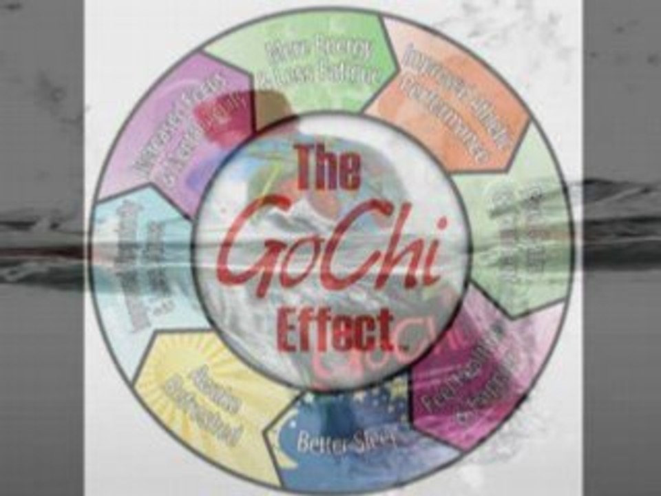 Goji GoChi™ Series [1] Goji Juice Benefits!