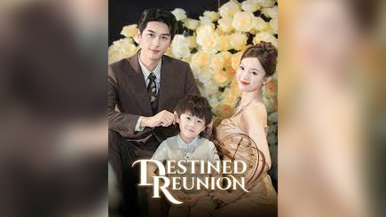 Destined Reunion (Dubbed) | Full Episodes | Chinese Short Drama - Mega short Drama