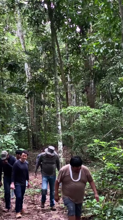 Jardim botânico reúne etnoturismo e reflorestamento na amazônia