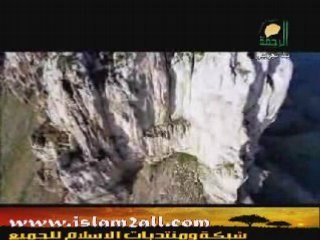 يارب ..هل من توبة..!