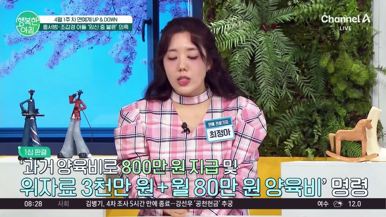 홍서범·조갑경 아들 '임신 중 불륜' 의혹과 사생활 논란