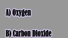 Which gas do plants absorb from the air? 🌿