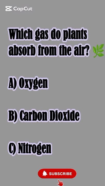 Which gas do plants absorb from the air? 🌿