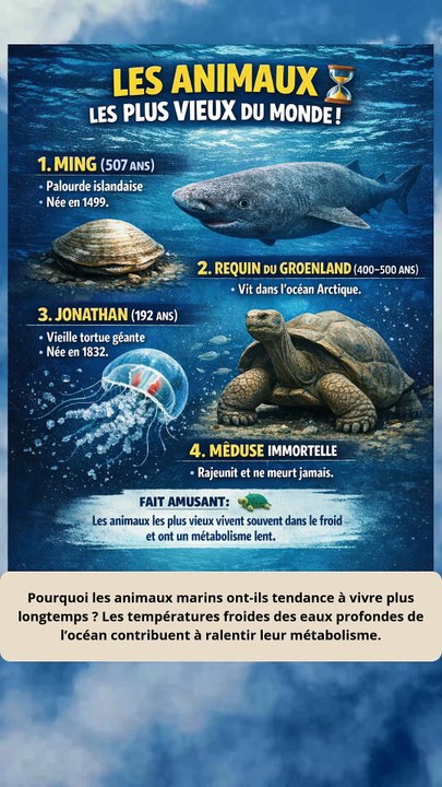 les animaux les plus anciens du monde