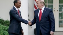 Donald Trump: Tiger Woods lives a life of pain