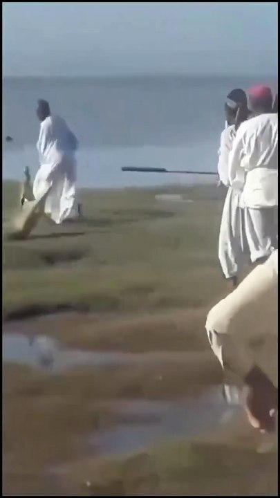 Oman Crocodile Viral Video: عمان میں بارش کے بعد مگرمچھ آبادی میں گھس آیا