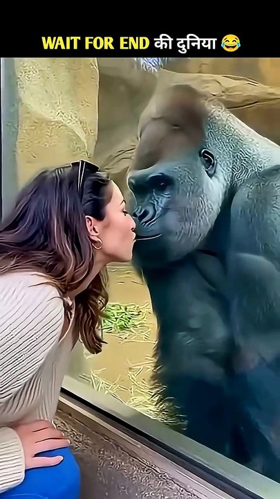 Animals Ke Gajab Karnam