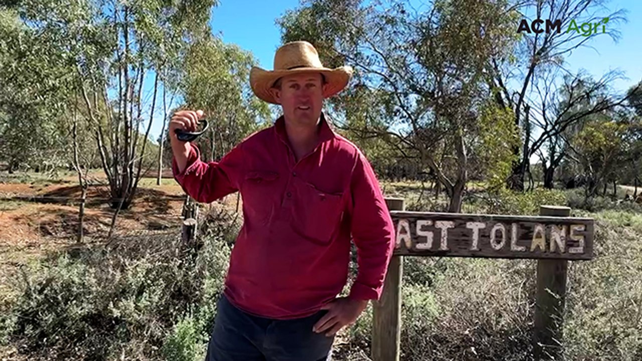 A warning from the Riverina, as less water means less life