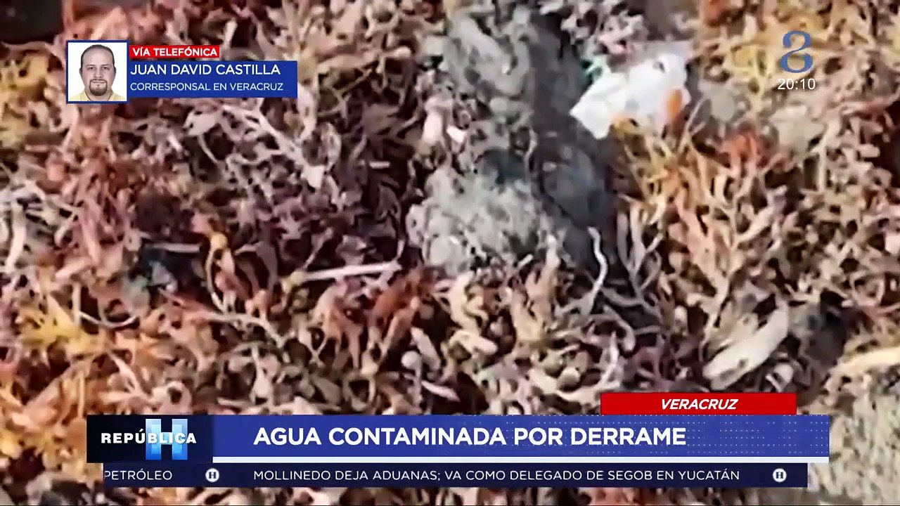 ¿Qué pasa con las playas? Continúan los trabajos para limpiar el derrame petrolero en Veracruz