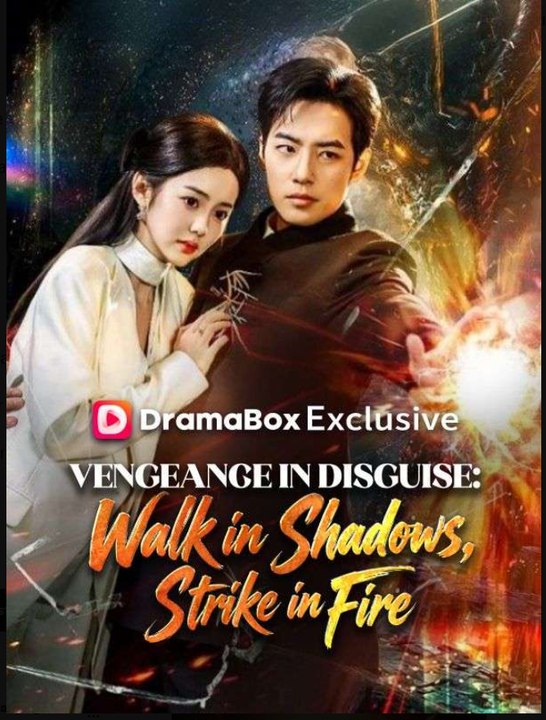 Vengeance In Disguise Walk In Shadows Strike In Fire Drama