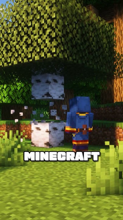 Le monde CACHÉ de Minecraft 😱