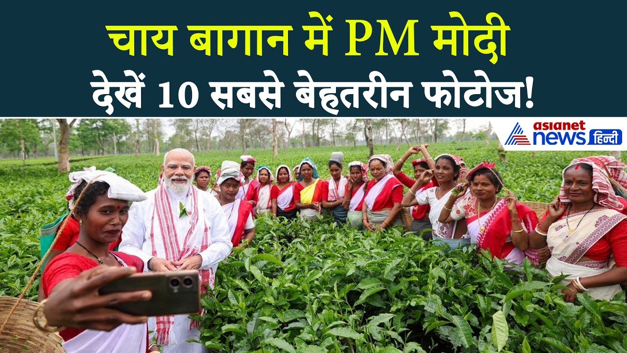 PM Modi Plucking Tea Leaves : जब अचानक चाय बागान पहुंचे मोदी, तोड़ी चाय की पत्तियां और ली सेल्फी