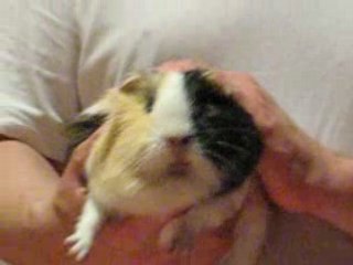 Fafa danse et essaye de chanter!