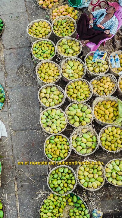 El mango no es americano