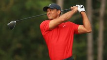 Tiger Woods steps away from golf and Ryder Cup captaincy following his Florida arrest