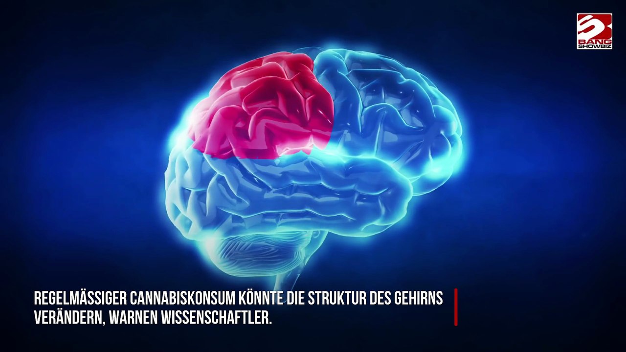 Langfristiger Cannabiskonsum verändert die Gehirnstruktur