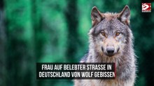Frau auf belebter Straße in Deutschland von Wolf gebissen