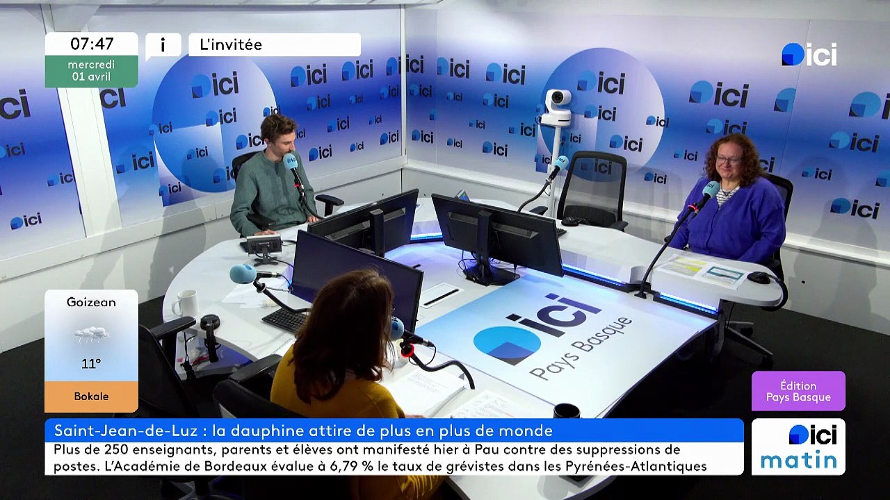 Dauphine à Saint-Jean-de-Luz : les règles pour cohabiter avec l'animal dans la baie