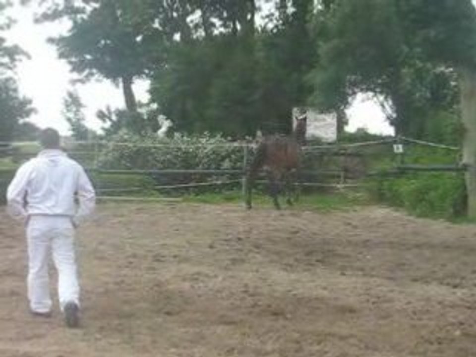 Nyamoko joue avec Allan