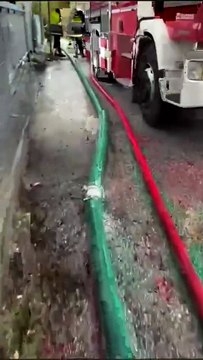 Image from field_mediaid