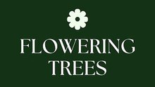Best Perennial Flowering Trees for Front Yard Landscaping USA