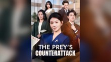 The Prey's Counterattack Full Chinese Drama